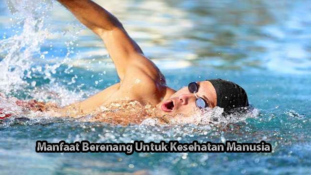 Manfaat Berenang Untuk Kesehatan Manusia Bagi Anda