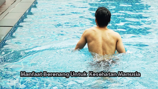 Manfaat Berenang Untuk Kesehatan Manusia Bagi Anda